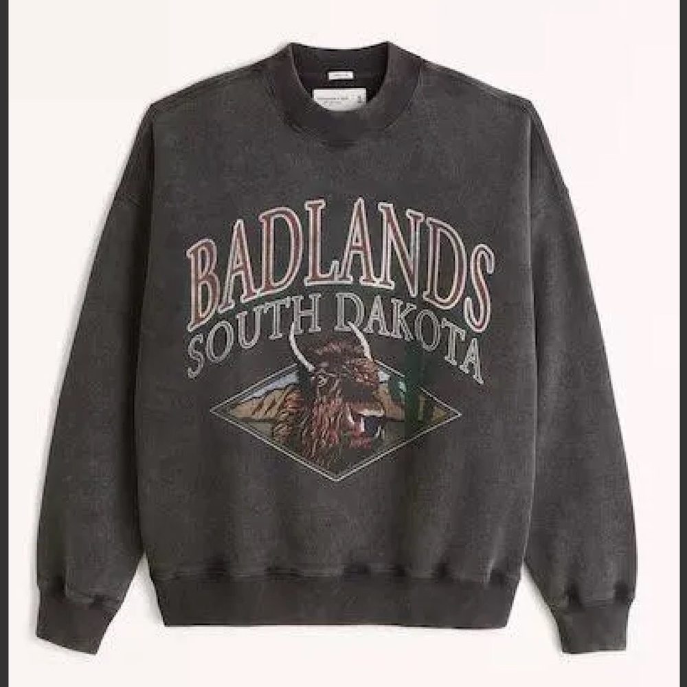 Abercrombie & Fitch Oversized Badlands South Dakota Crewneck